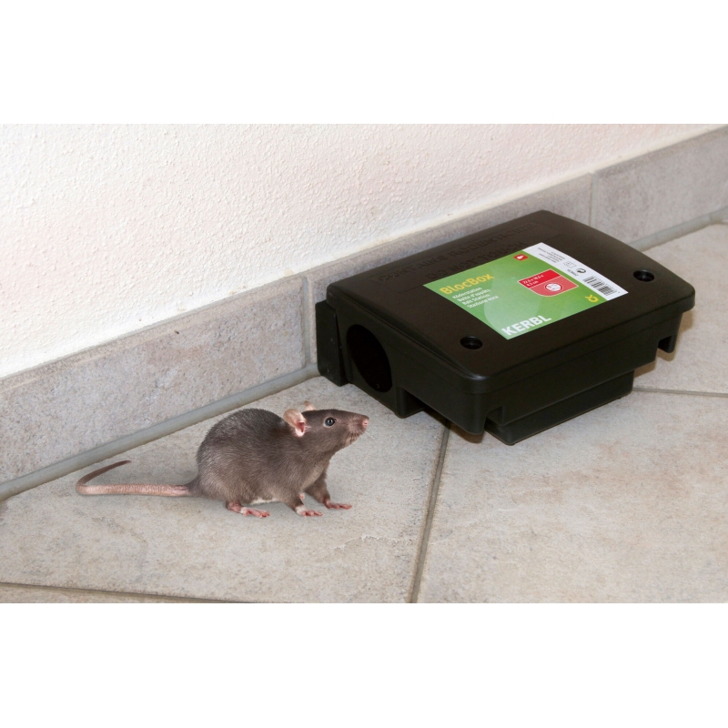 Lokdoos BlocBox Beta 22,5x18,5x9,5cm, tegen ratten - 299636