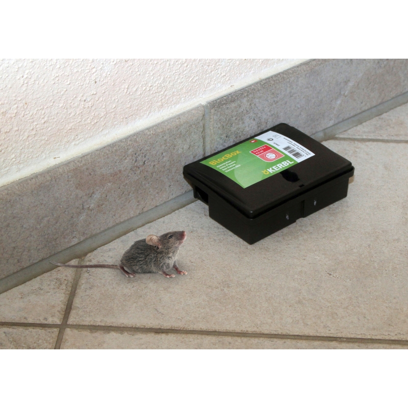 Box de pi&eacute;geage BlocBox Peti PVC, 12,5x9,5x4,5cm, souris - 299638