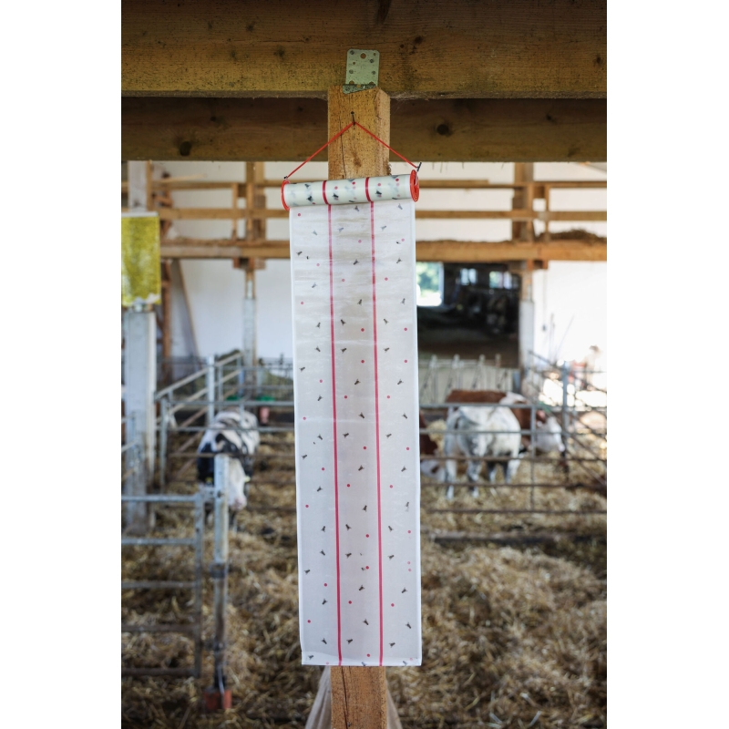 Rouleau attrape-mouches Eco 10mX25cm - 299790
