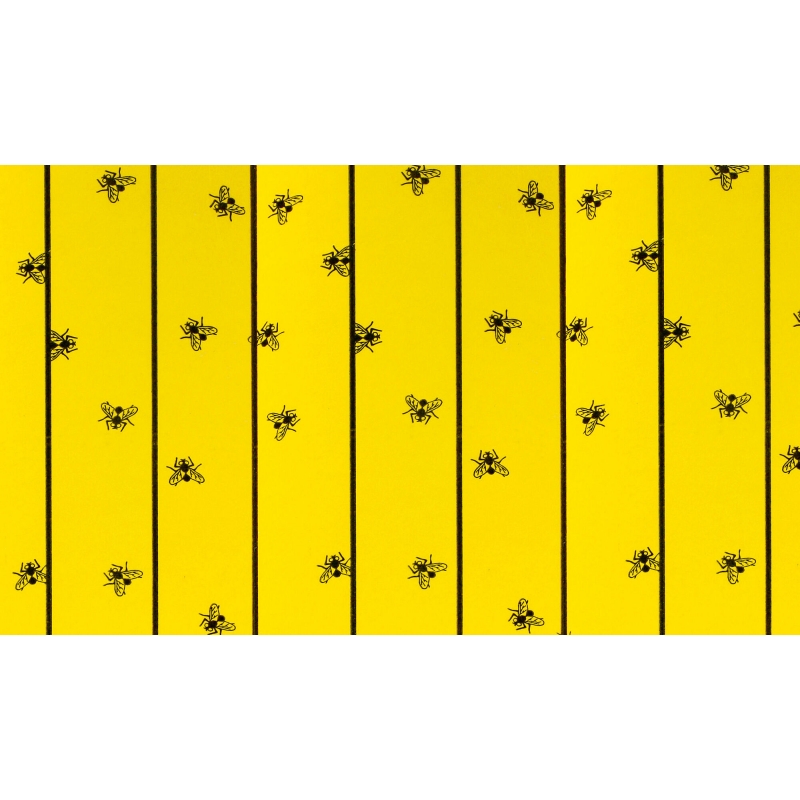 Feuilles FlyMaster 59,5cmX30cm, par 6 - 299842