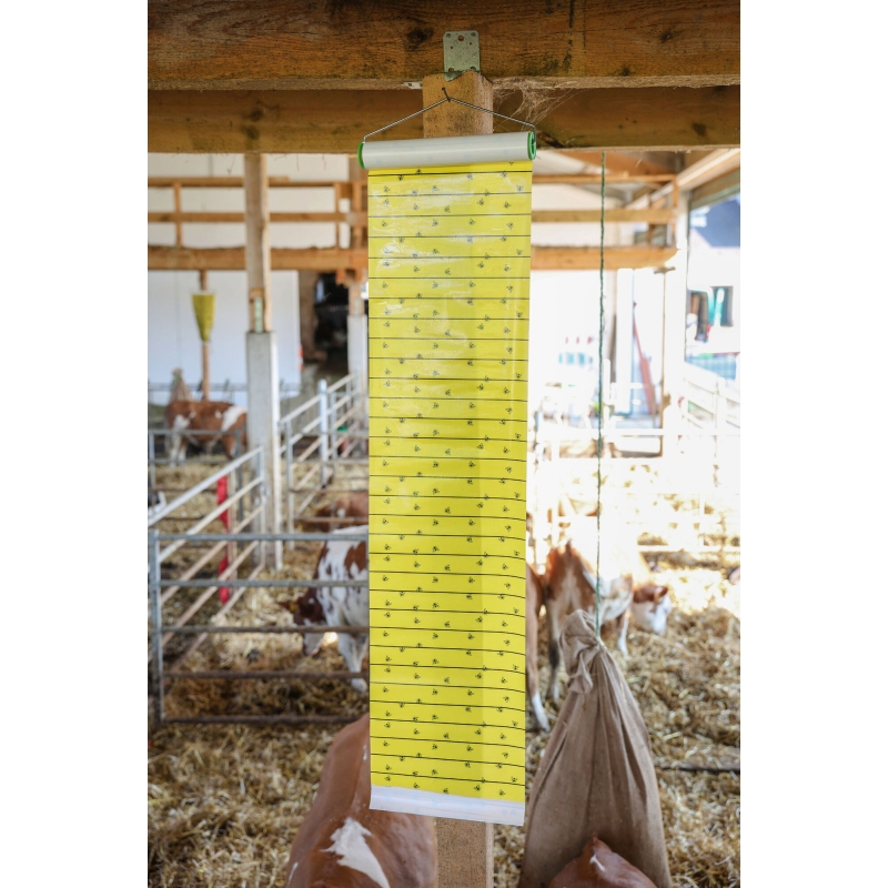 Stalvliegenrol PHERoll met lokmiddel, 9 m - 299847