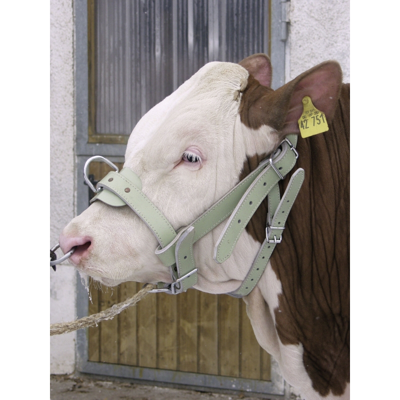Stierenhalster, leder dubbel - 12510