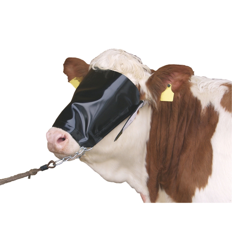 Koehalster met vee-oogklep en kinketting - 12514