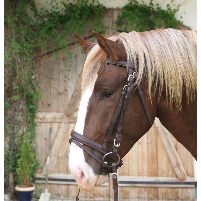 Trenshoofdstel, leder bruin - Koudbloed - 321179