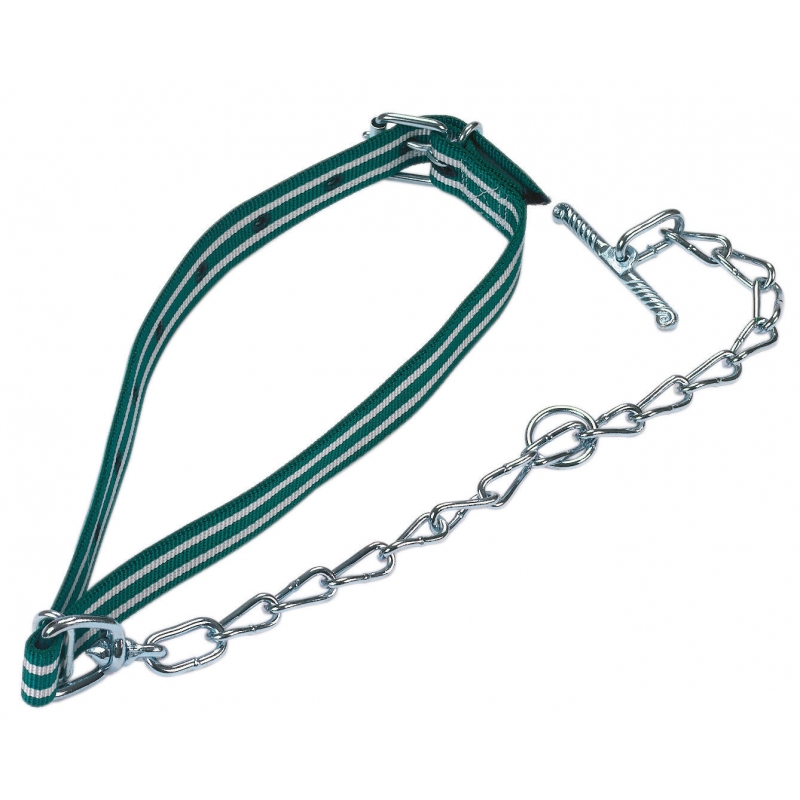 Kalveraanlijning compl. 85x4cm, met ketting 4mm - 12530
