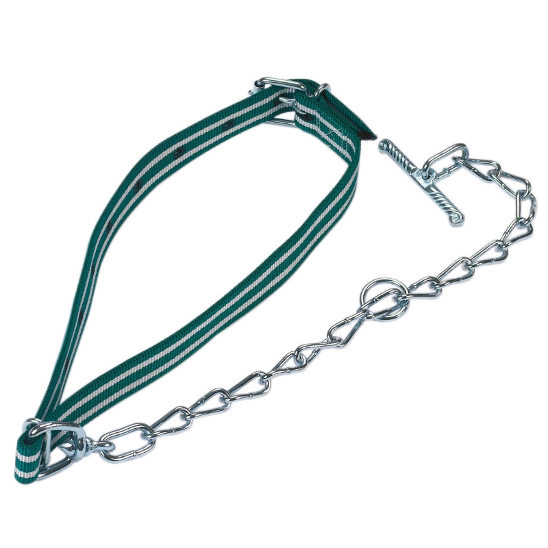 Kalveraanlijning compl. 100x4cm, met ketting 4mm - 125305