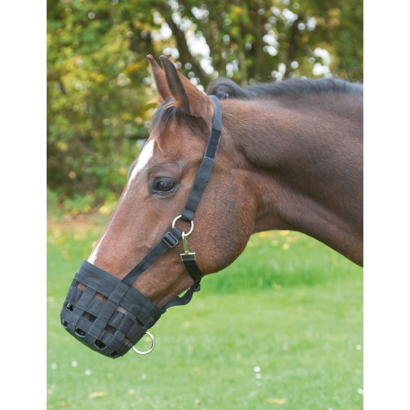 Panier &agrave; collique noir, pony - 321625