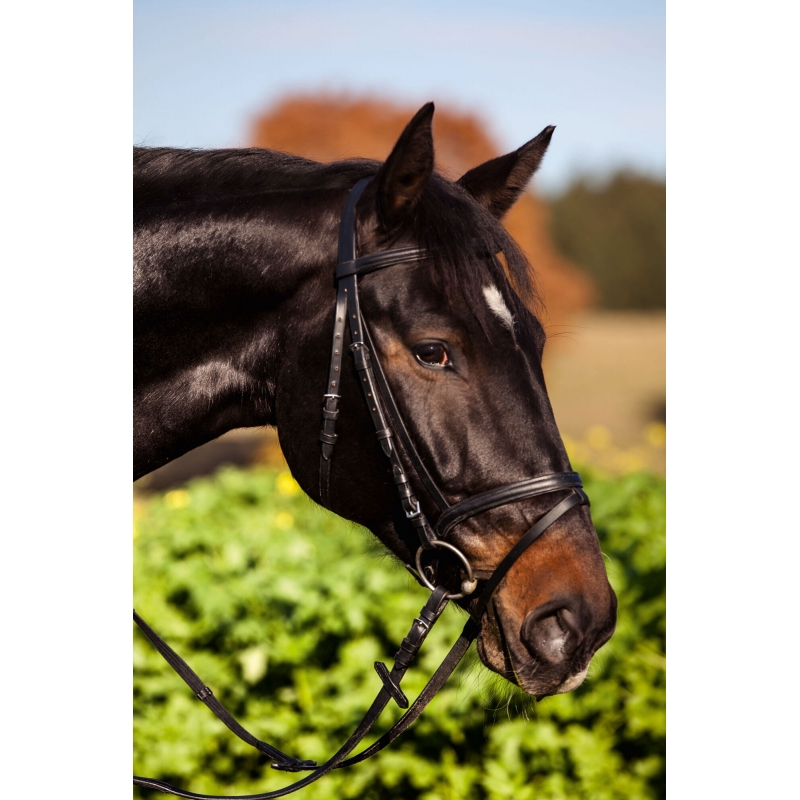 Bridon Standard noir, shetland - 321713