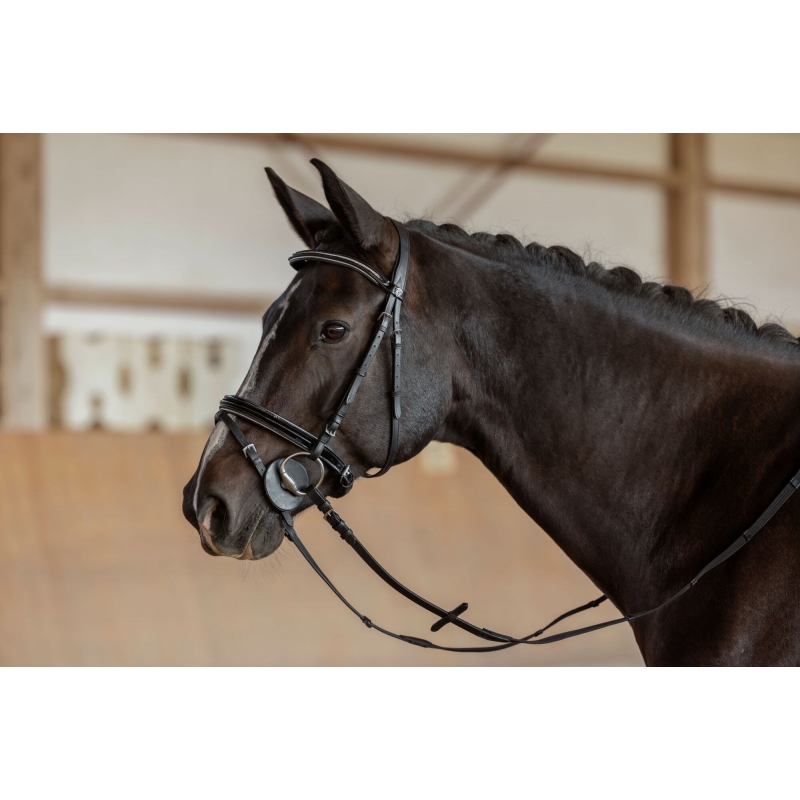 Bitschijven warmbloed, - zwart, 9 cm, 2 st. verpakt - 321728-2