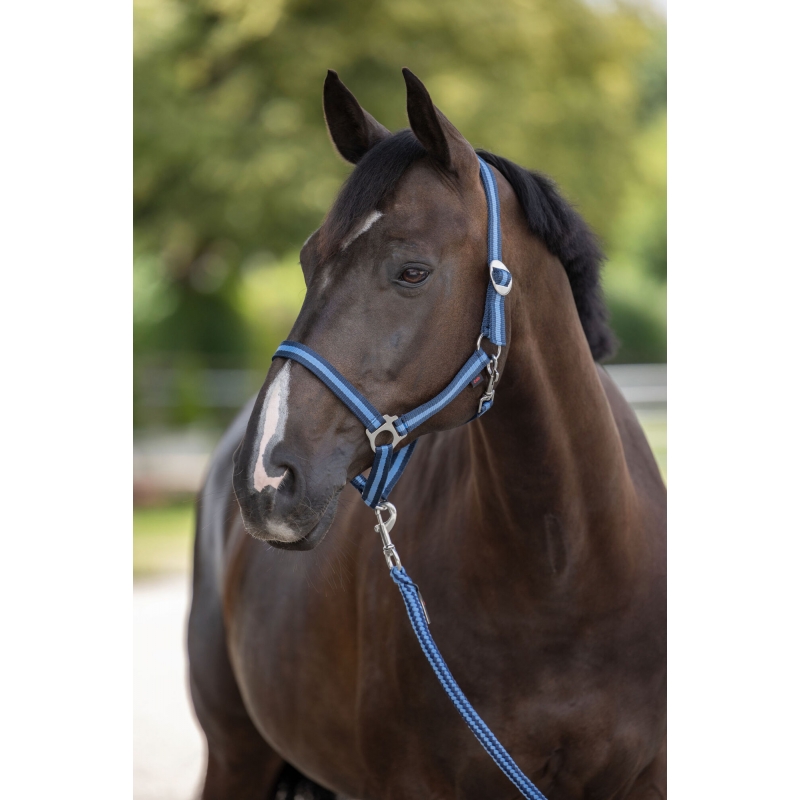 Licol Hippo bleu ciel-marine, foal - 321903