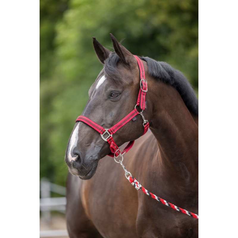 Halster Mustang, maat 1 - 2voud. verstelb., rood/zwart - 321961