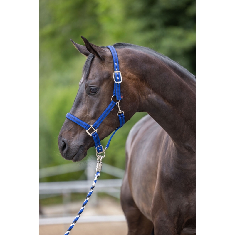 Licol Mustang bleu-noir, pony - 321962