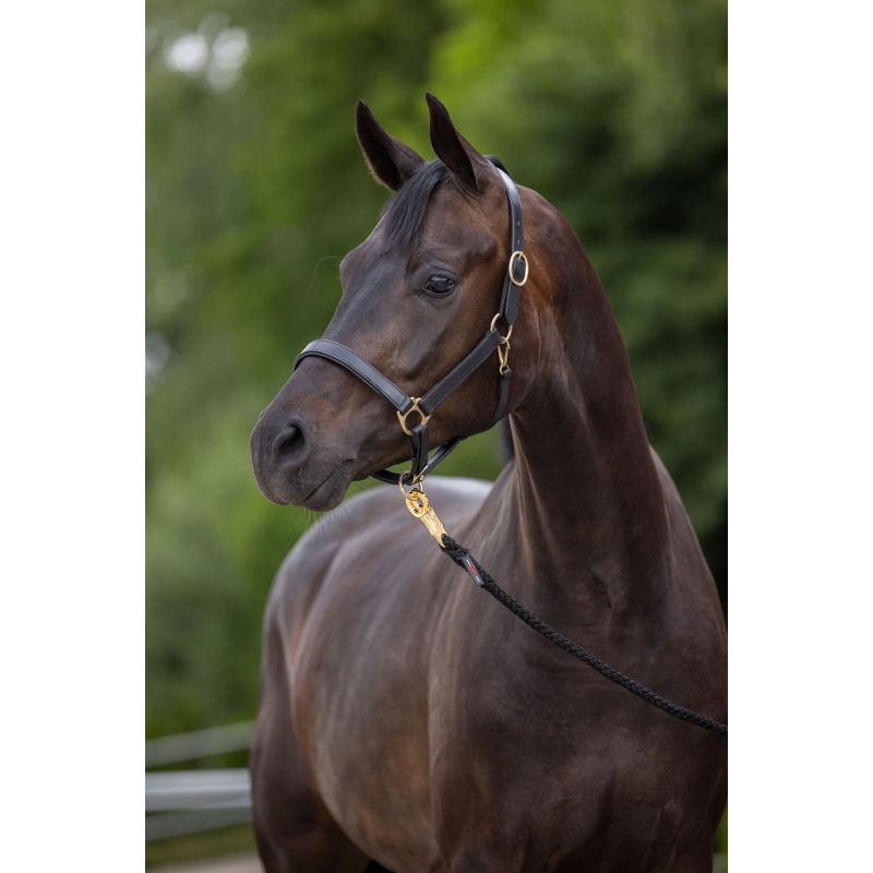 Halster Eco, pony, leder - zwart - 32255