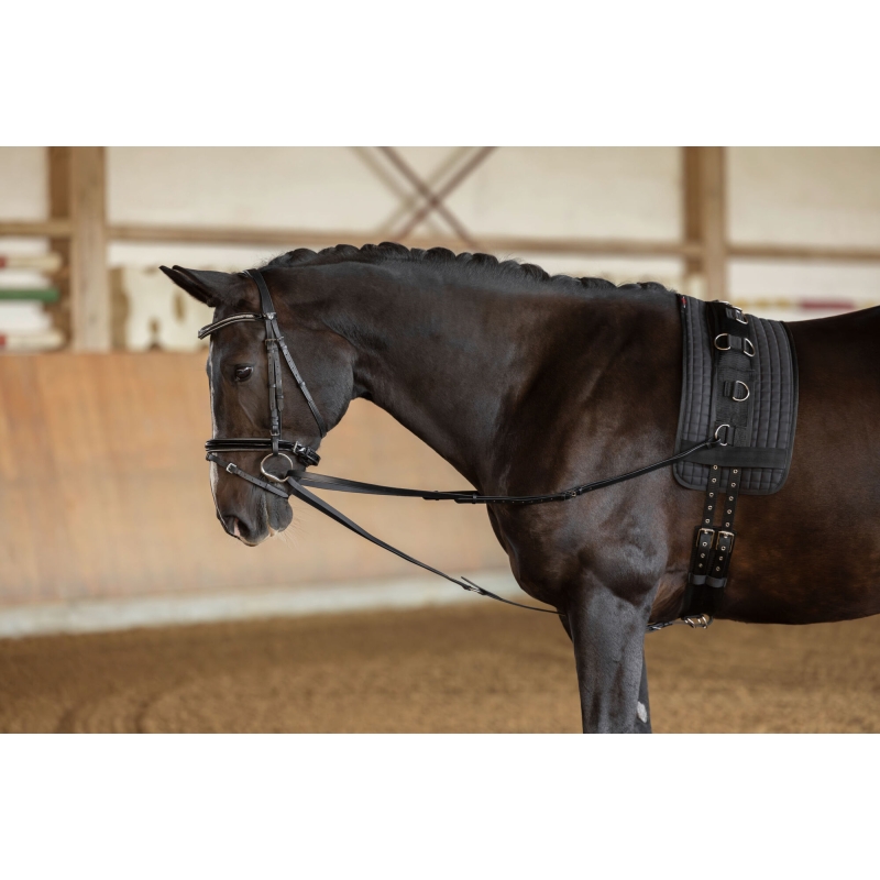 Driehoeksteugel, zwart - Grootte pony - 323597