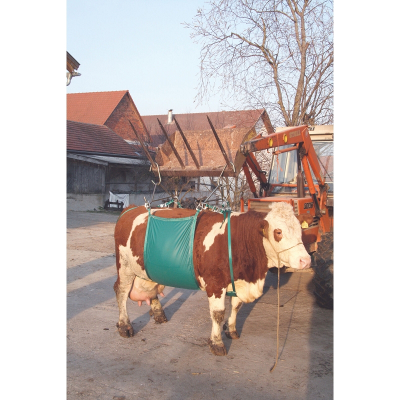 L&egrave;ve vache - 1066