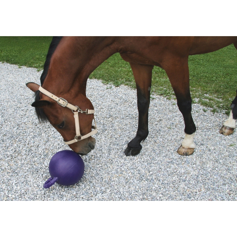Balle &agrave; jouer chevaux 25cm, violet, menthe - 32389