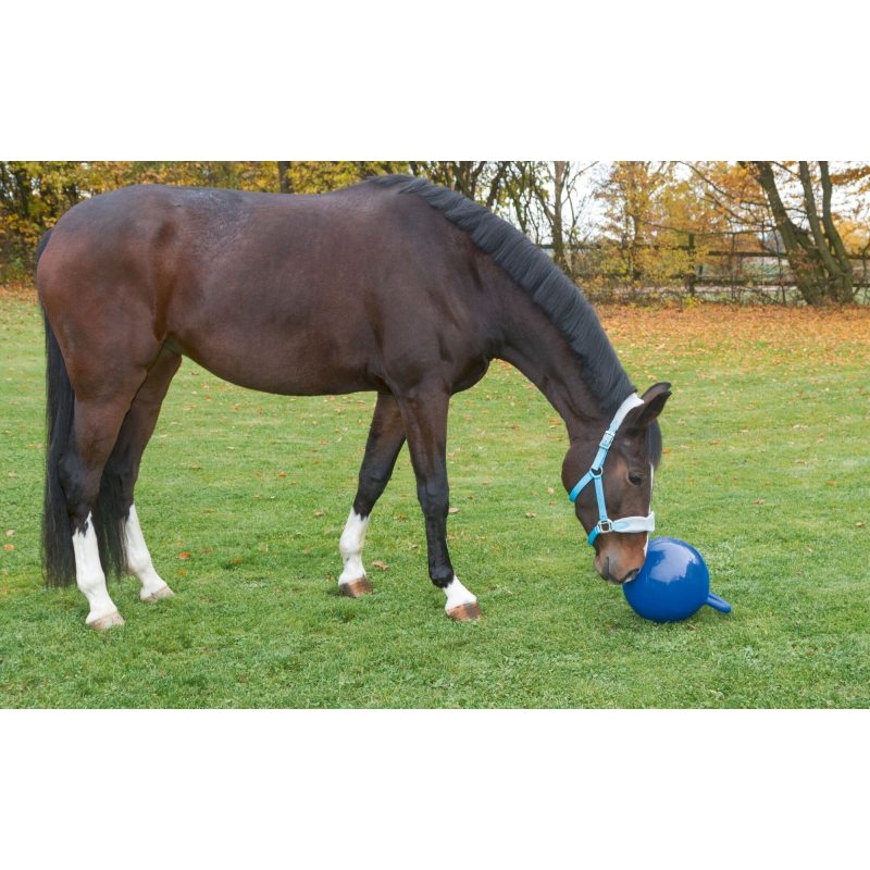 Balle &agrave; jouer chevaux 25cm, bleu - 32399
