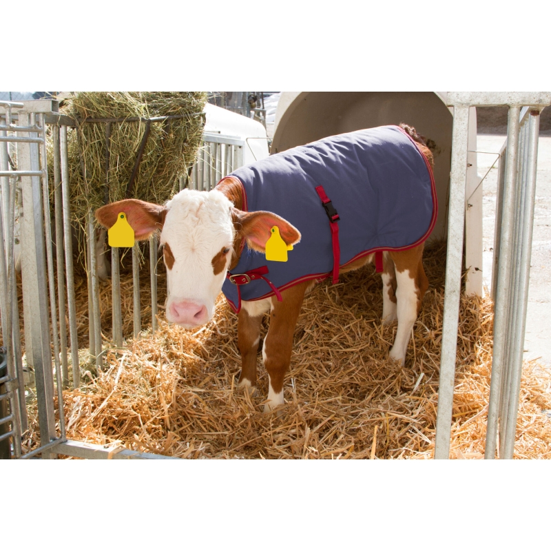 Couverture pour veau Thermoplus 70cm - 14148