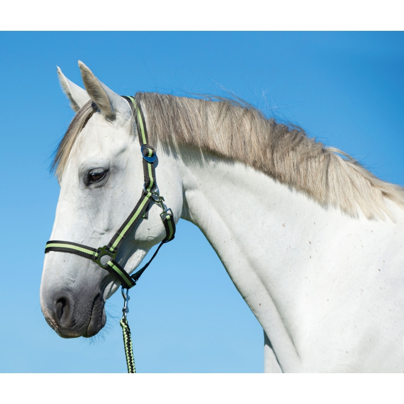 Halstertouw Hippo met - karabijnhaak antraciet/lemon - 325898