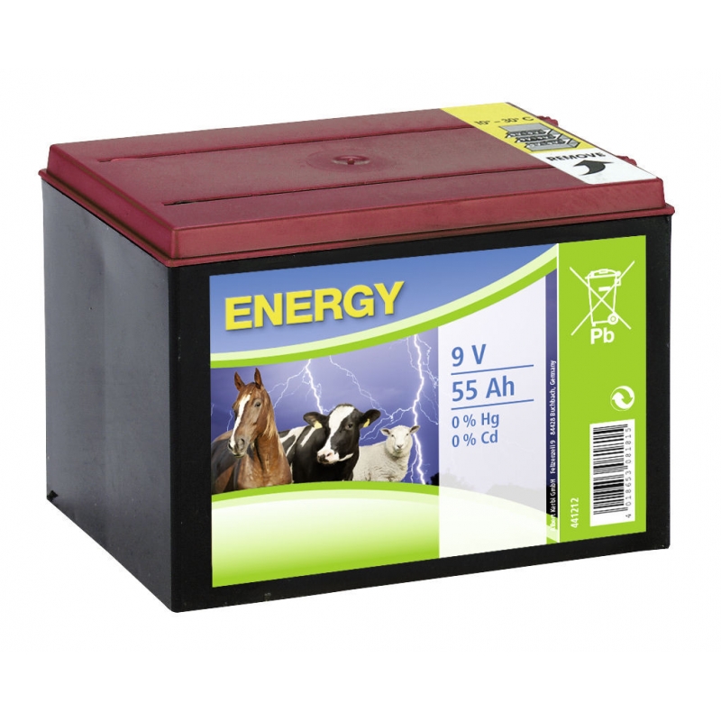 Pile Saline 9v 55AH - 441212