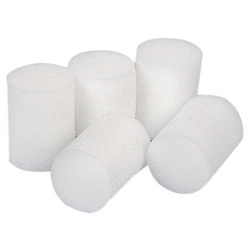 &Eacute;ponge nettoyage 40 mm x 70 mm 10 pcs par sachet - 4670