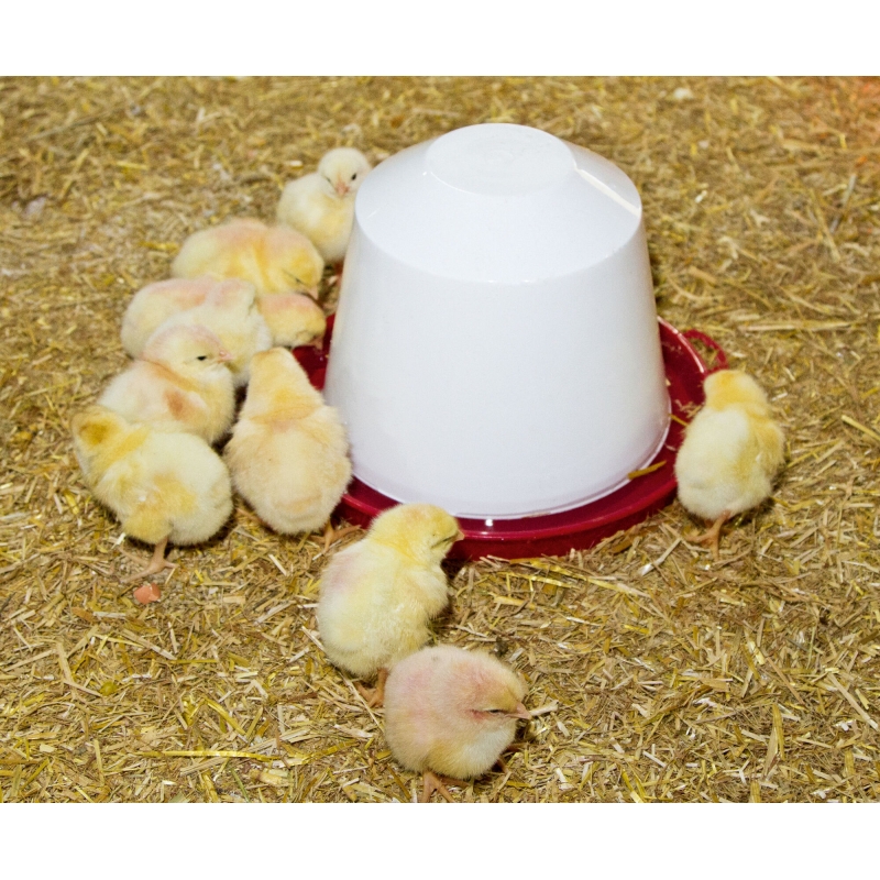 Kunststof-drinkbak, 3,5 l voor kuikens en kippen - 70203