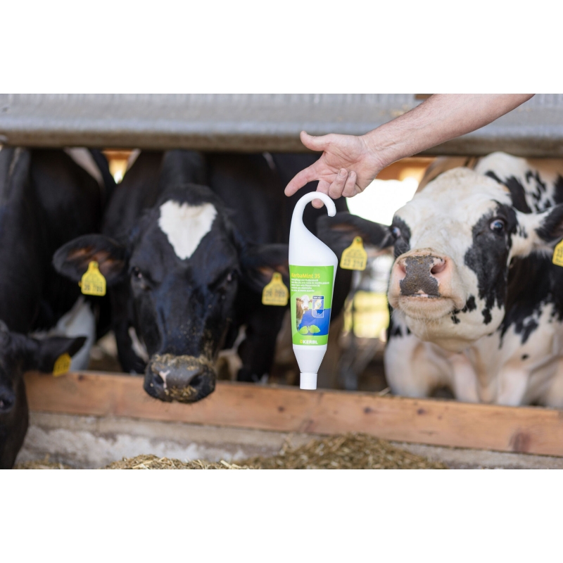 Udder care KerbaMint,  1000 ml hanging bottle - 15310