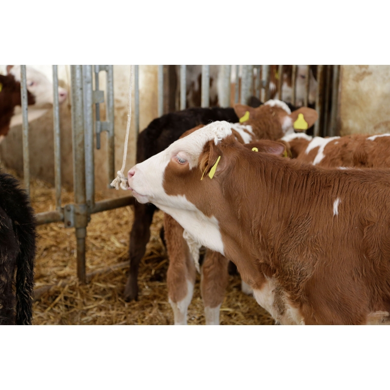 art 22681 agrodieren.be  - 22681