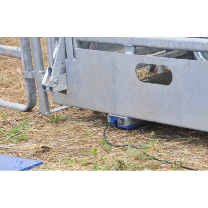 Kit de pes&eacute;e (barres de pes&eacute;e +&eacute;cran d'affichage) pr 291320 - 291322