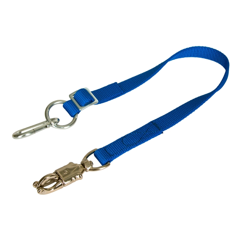 Sangle d'attache r&eacute;glable bleue - 32089