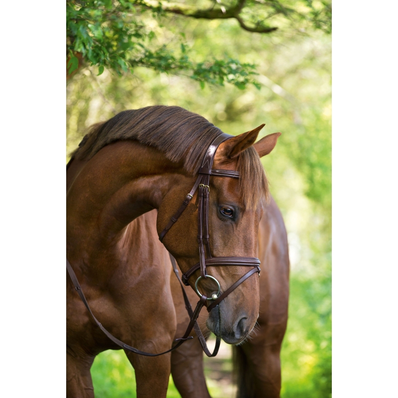 Trenshoofdstel Classic Leder, bruin, warmbloed - 324913