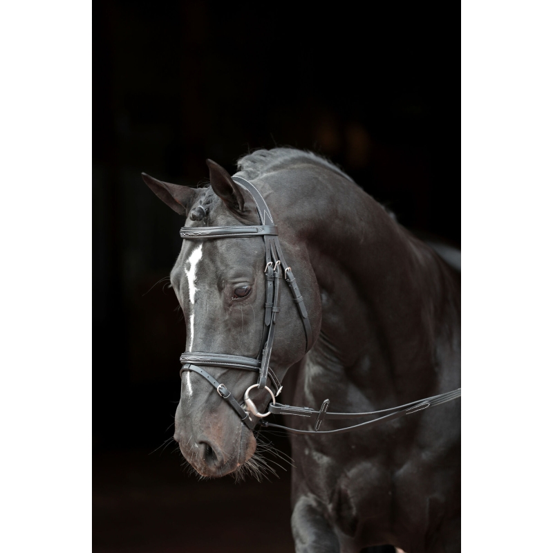 Trenshoofdstel Classic Leder, zwart, pony - 326137