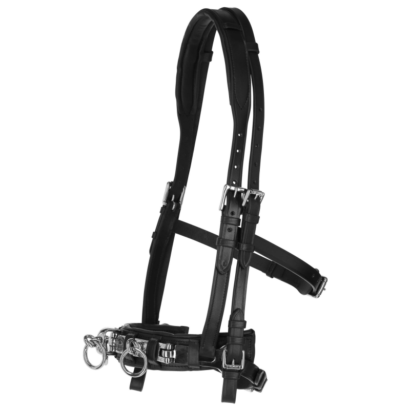 Cave&ccedil;on Exclusif noir, full - 328650