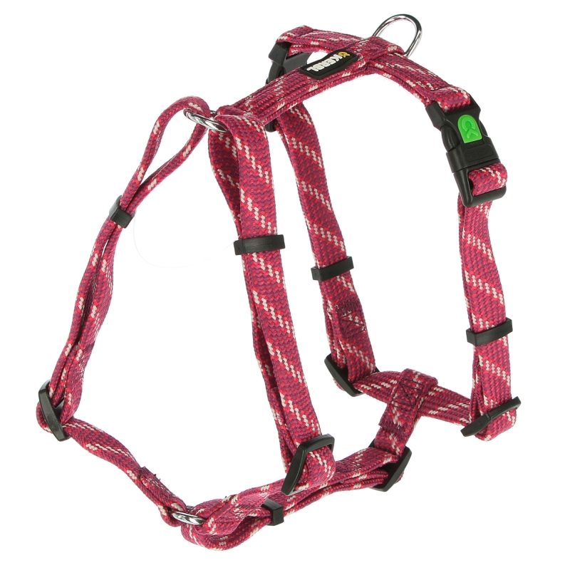 Geschirr Colorado, fuchsia, 20 mm - 55-76 cm - 80249