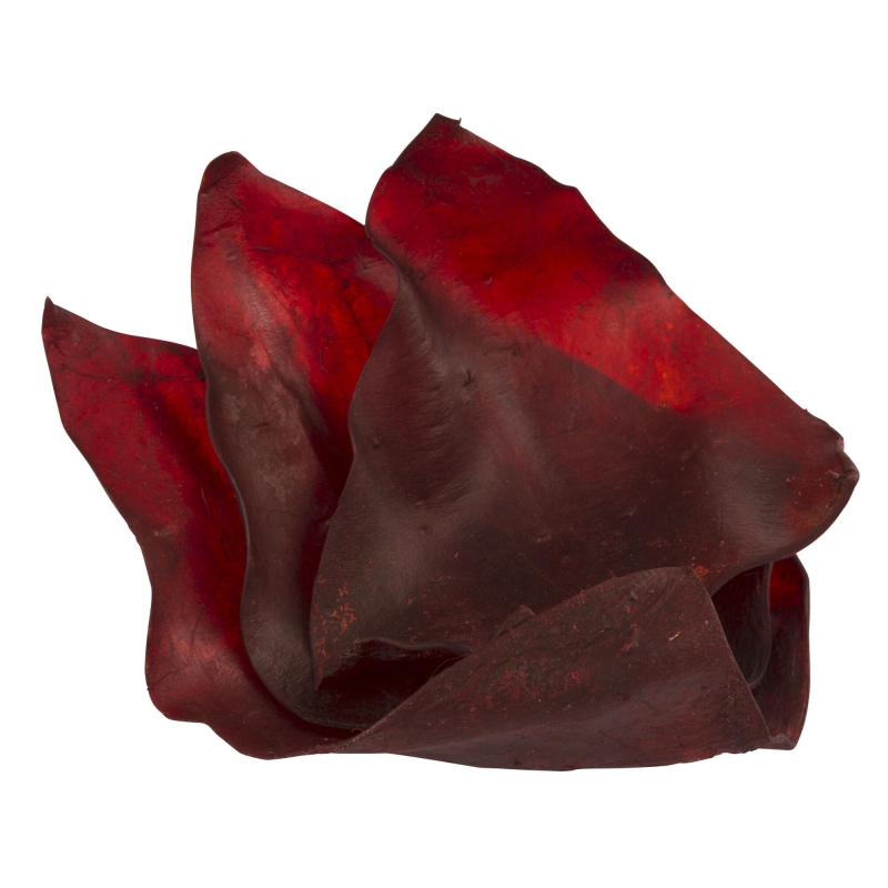Oreilles de b&oelig;uf s&eacute;ch&eacute;es sachet de 10 - 80700
