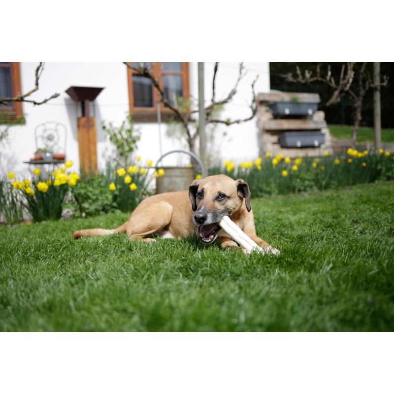 Kaurollen 20mm-25cm, 3 Stk., 180g - 80704