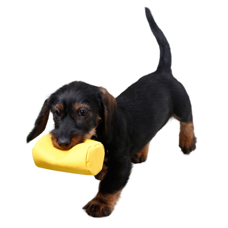 Trainingsdummy, 23 x 7 cm, geel - 80768