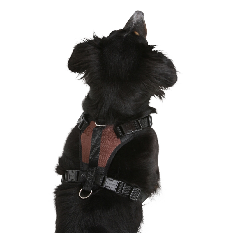 Hondentuig Pulsive, bruin, 36-50 cm, 46-60cm - 81019