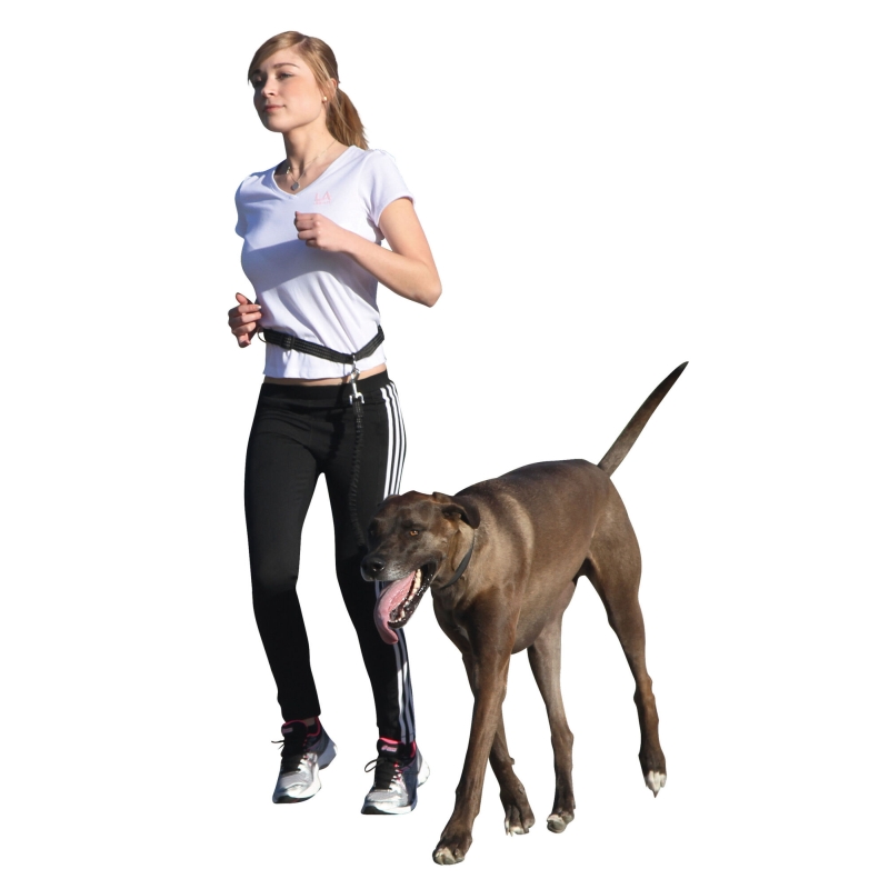 Laisse de jogging Active avec ceinture - 81181