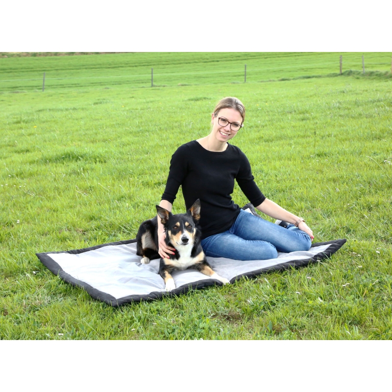 Tapis Trip gris-noir 140X100X4cm - 81265