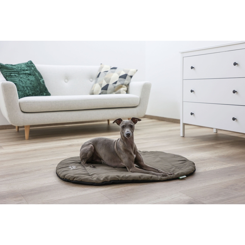 Traveller Reisekissen 85x65cm mit H&uuml;lle, taupe - 81266