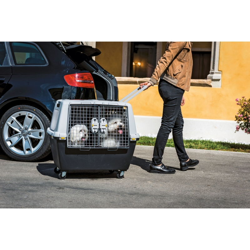 Box de transport Gulliver Touring IATA, gris, 80x58x62cm - 81340