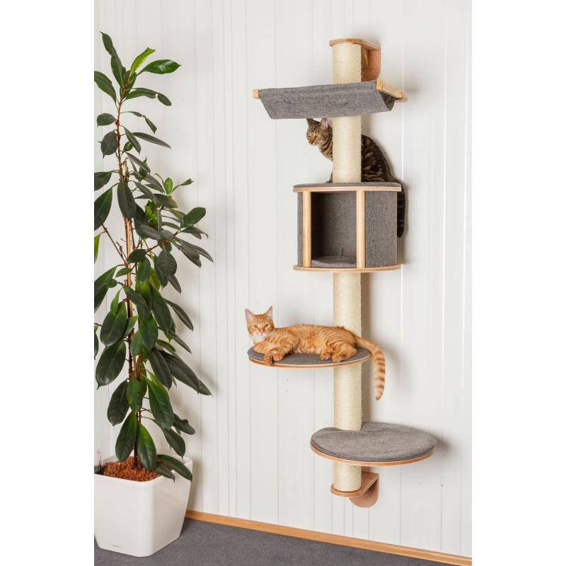 Wandkrabboom Dolomit Tofana 168 x (75) cm, grijs - 81540