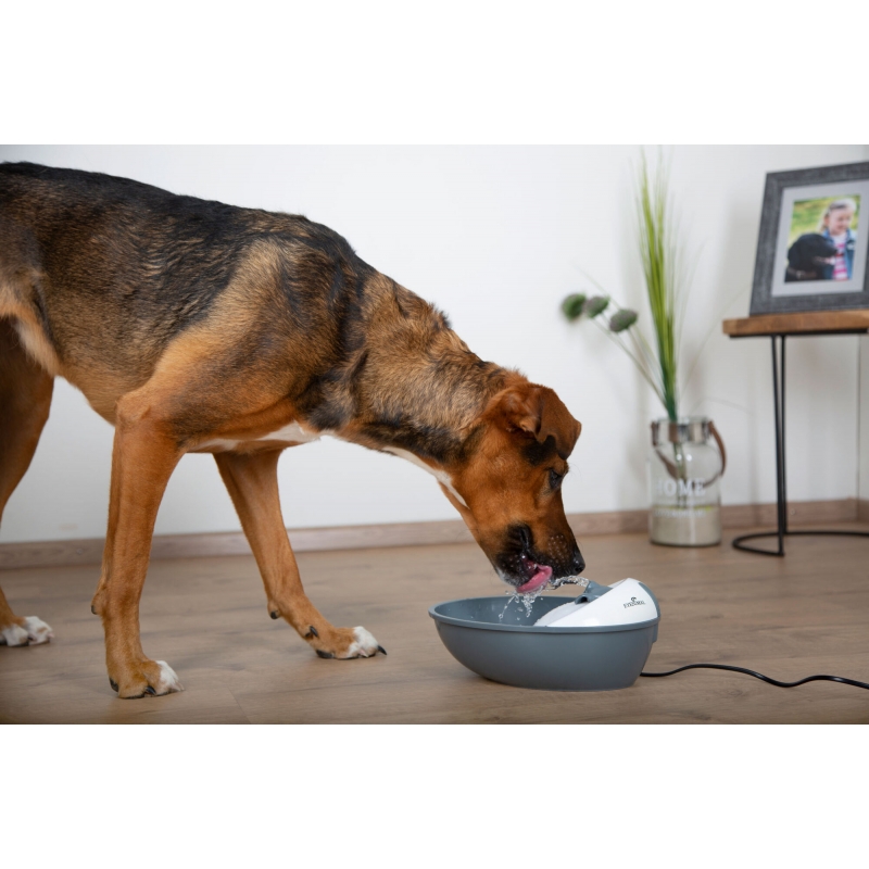 Fontaine EYENIMAL Classic Pet 1,75 l - 81874