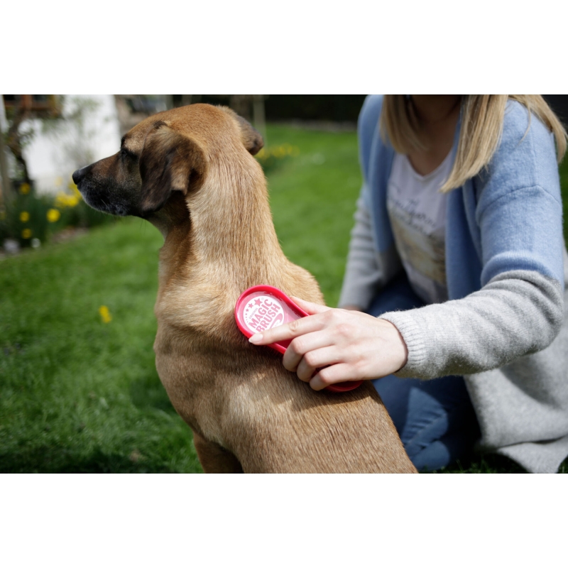 MagicBrush DOG WildRose - 81942