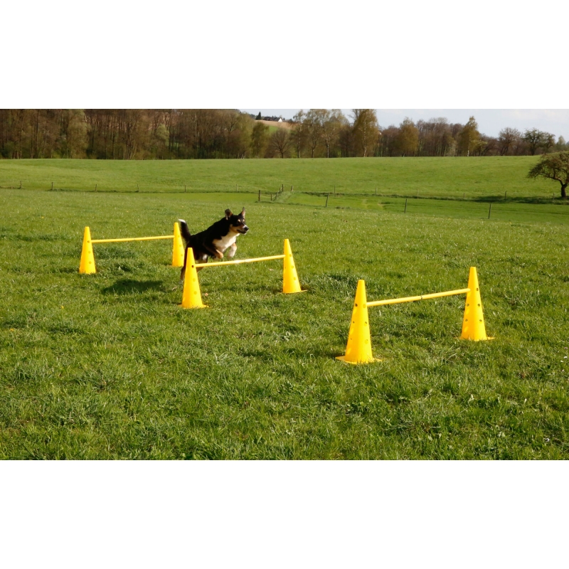 Lot c&ocirc;nes et barres d'obstacle Agility - 81994