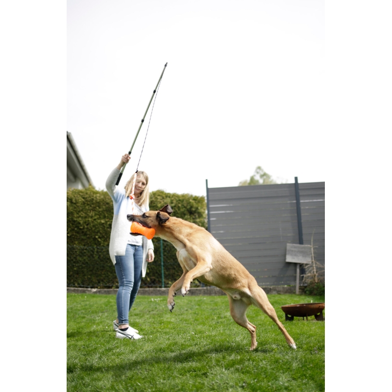 Canne &agrave; p&ecirc;che pour chien 47-130cm - 81995