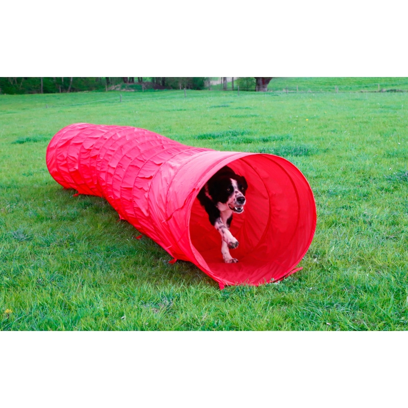 Tunnel Agility &oslash;60cmX5m - 81997