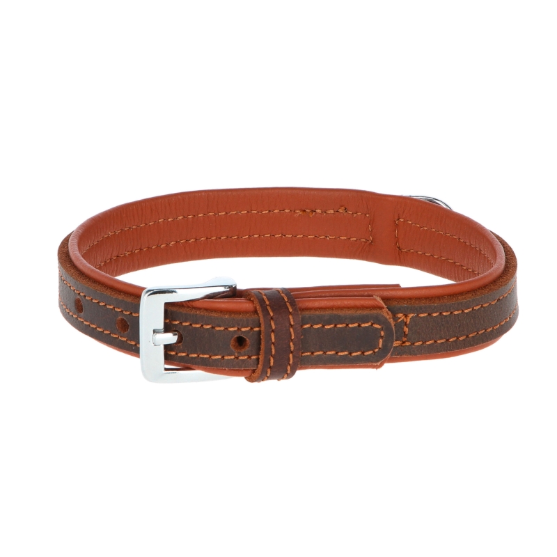 Collier pour chien Vegas 25mm-37-43cm brun - 82027