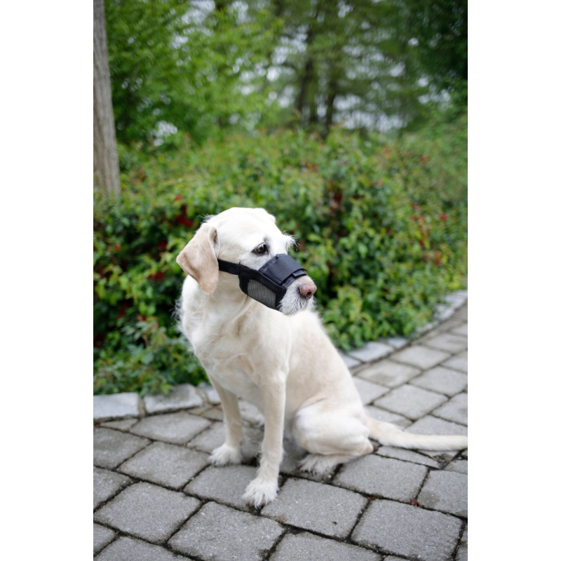 Museli&egrave;re pour chien nylon T. M - 82145